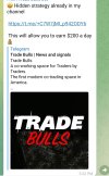 Trade Bulls.jpg