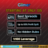 Giimer (5).png