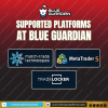 Blue Guardian (11).png