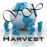 FX Harvest