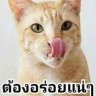Ton Saengsook